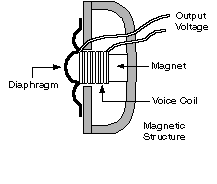 Dynamic Element